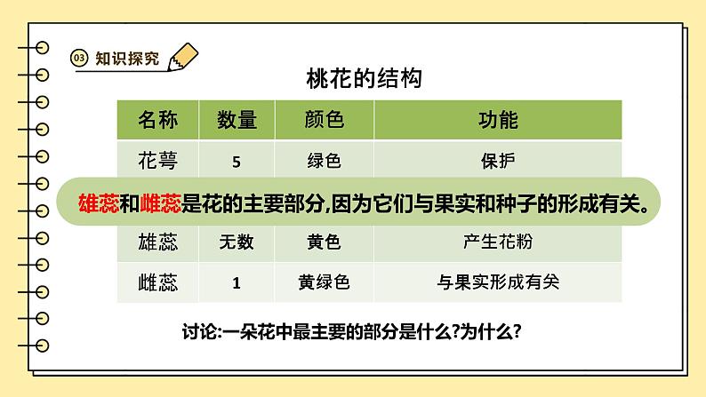 3.1.3开花和结果课件-2024--2025学年人教版生物七年级下册第6页