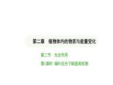 3.2.2 光合作用-第1课时 课件-2024-2025学年人教版(2024)生物七年级下册