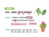 3.2.2 光合作用-第1课时 课件-2024-2025学年人教版(2024)生物七年级下册