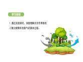 3.2.2 光合作用-第2课时 课件-2024-2025学年人教版(2024)生物七年级下册
