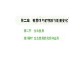 3.2.2 光合作用-第3课时 课件-2024-2025学年人教版(2024)生物七年级下册