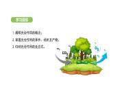 3.2.2 光合作用-第3课时 课件-2024-2025学年人教版(2024)生物七年级下册