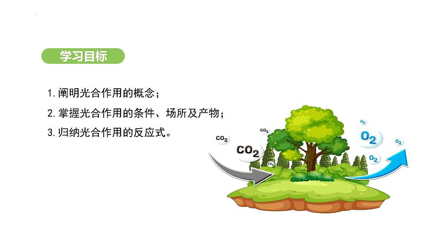 3.2.2 光合作用-第3课时 课件-2024-2025学年人教版(2024)生物七年级下册第3页
