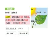 3.2.2 光合作用-第3课时 课件-2024-2025学年人教版(2024)生物七年级下册