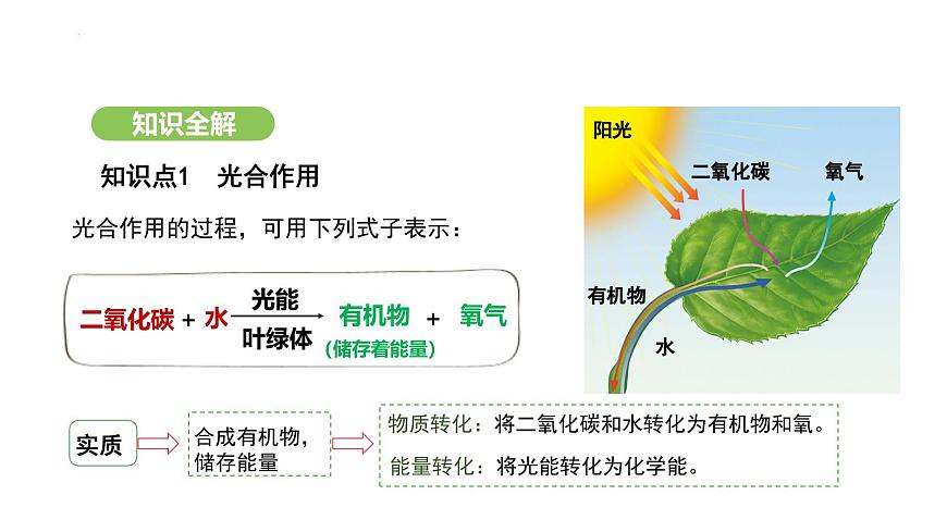 3.2.2 光合作用-第3课时 课件-2024-2025学年人教版(2024)生物七年级下册第5页