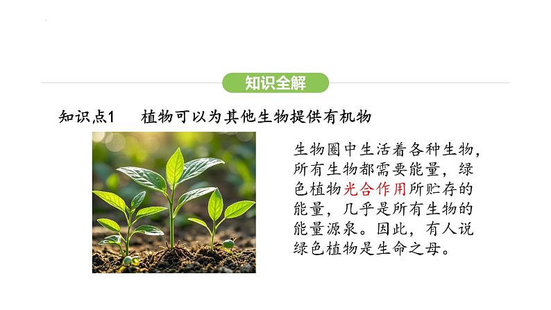 3.2.4 植物在自然界中的作用 课件-2024-2025学年人教版(2024)生物七年级下册第5页