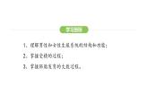 4.1.1 人的生殖 课件-2024-2025学年人教版(2024)生物七年级下册