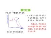 4.1.2 青春期 课件-2024-2025学年人教版(2024)生物七年级下册