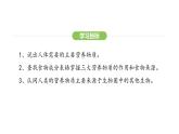 4.2.1 食物中的营养物质 课件-2024-2025学年人教版(2024)生物七年级下册