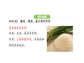 4.2.1 食物中的营养物质 课件-2024-2025学年人教版(2024)生物七年级下册