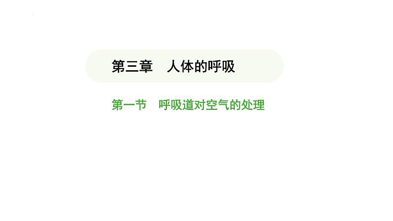 4.3.1 呼吸道对空气的处理 课件-2024-2025学年人教版(2024)生物七年级下册第1页