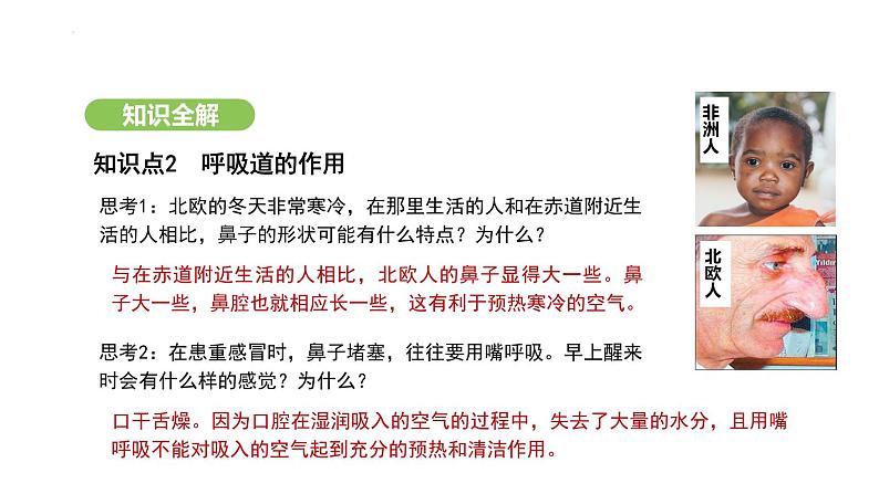 4.3.1 呼吸道对空气的处理 课件-2024-2025学年人教版(2024)生物七年级下册第6页