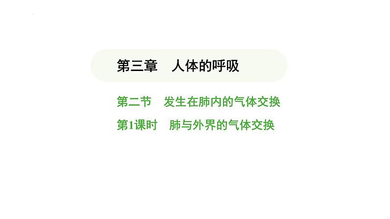 4.3.2 发生在肺内的气体交换（第1课时） 课件-2024-2025学年人教版(2024)生物七年级下册第1页