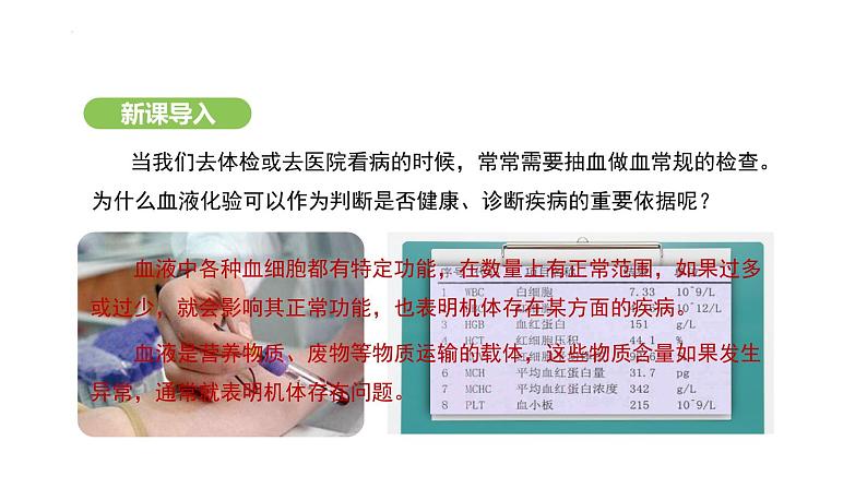 4.4.1 流动的组织——血液 课件-2024-2025学年人教版(2024)生物七年级下册第2页