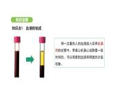 4.4.1 流动的组织——血液 课件-2024-2025学年人教版(2024)生物七年级下册