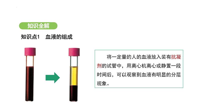 4.4.1 流动的组织——血液 课件-2024-2025学年人教版(2024)生物七年级下册第4页