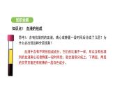 4.4.1 流动的组织——血液 课件-2024-2025学年人教版(2024)生物七年级下册