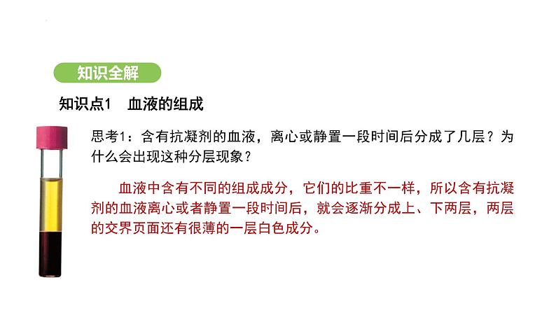 4.4.1 流动的组织——血液 课件-2024-2025学年人教版(2024)生物七年级下册第5页