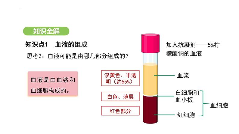 4.4.1 流动的组织——血液 课件-2024-2025学年人教版(2024)生物七年级下册第6页