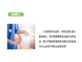 4.4.2 血流的管道——血管 課件-2024-2025學(xué)年人教版(2024)生物七年級(jí)下冊(cè)
