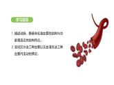 4.4.2 血流的管道——血管 課件-2024-2025學(xué)年人教版(2024)生物七年級(jí)下冊(cè)