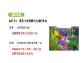 4.4.2 血流的管道——血管 課件-2024-2025學(xué)年人教版(2024)生物七年級(jí)下冊(cè)