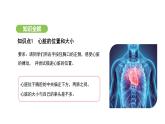 4.4.3 输送血液的泵——心脏（第1课时） 课件-2024-2025学年人教版(2024)生物七年级下册