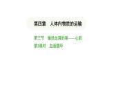 4.4.3 输送血液的泵——心脏（第2课时） 课件-2024-2025学年人教版(2024)生物七年级下册