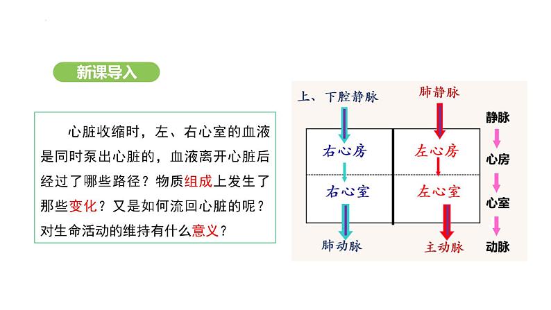 4.4.3 输送血液的泵——心脏（第2课时） 课件-2024-2025学年人教版(2024)生物七年级下册第2页