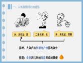 4.5  人體內(nèi)廢物的排出  課件-2024-2025學(xué)年人教版生物七年級(jí)下冊(cè)