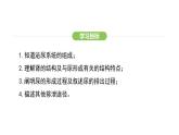 第五章人體內(nèi)廢物的排出  課件-2024-2025學(xué)年人教版(2024)生物七年級(jí)下冊(cè)