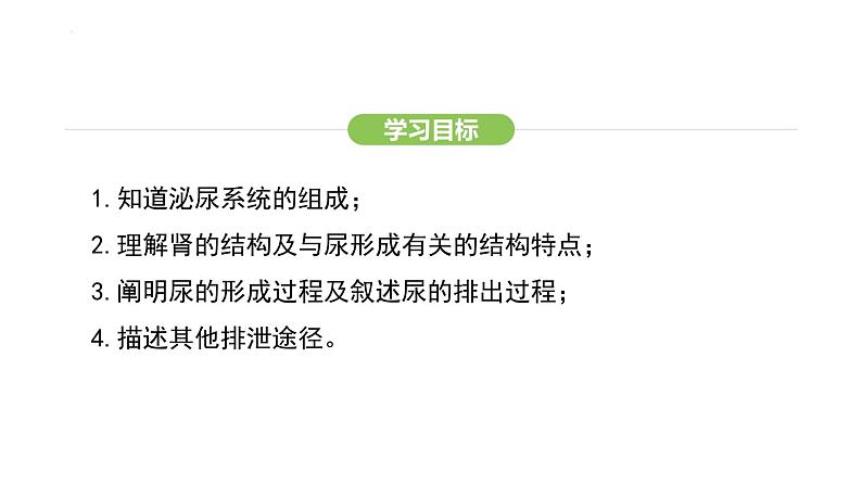 第五章人体内废物的排出  课件-2024-2025学年人教版(2024)生物七年级下册第3页