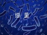 人教版生物七年级上册2.3.2《细菌》课件
