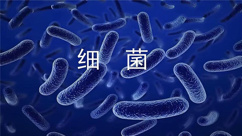 人教版生物七年级上册2.3.2《细菌》课件第1页