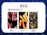 人教版生物七年级上册2.3.2《细菌》课件