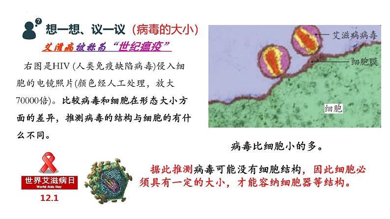 人教版生物七年级上册2.3.4《病毒》课件第3页