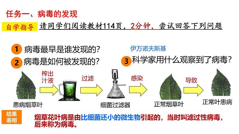 人教版生物七年级上册2.3.4《病毒》课件第4页