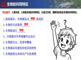 人教版生物七年级上册期末总复习课件
