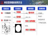 人教版生物七年级上册期末总复习课件