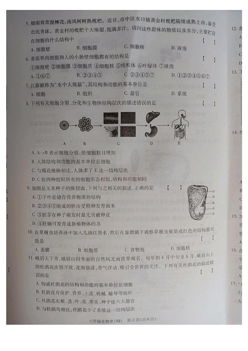 七生物第2页