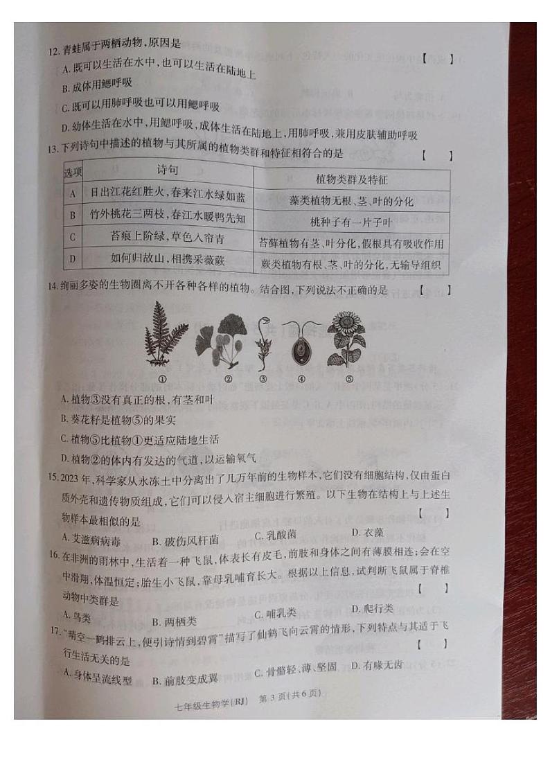 七生物第3页