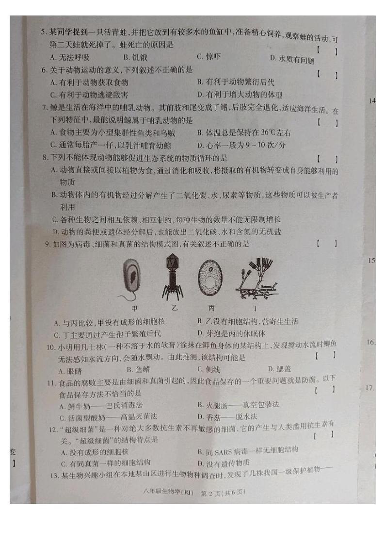 八生物第2页