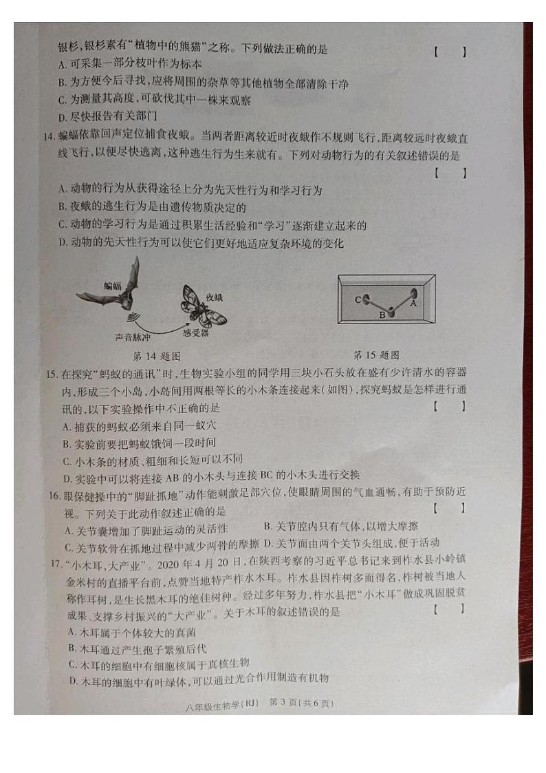 八生物第3页