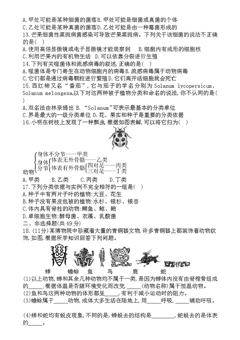 贵州省贵阳市南明区永乐第一中学2024-2025学年度第一学期12月质量监测七年级生物学试卷 贵州省贵阳市南明区永乐第一中学2024-2025学年度第一学期12月质量监测七年级生物学试卷第2页