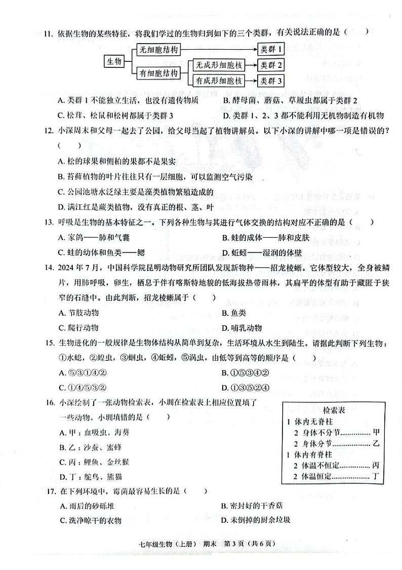 （预约）广东省深圳市龙岗区宏扬学校2025届七年级上学期期末考试生物试题 202412期末七年级生物第3页