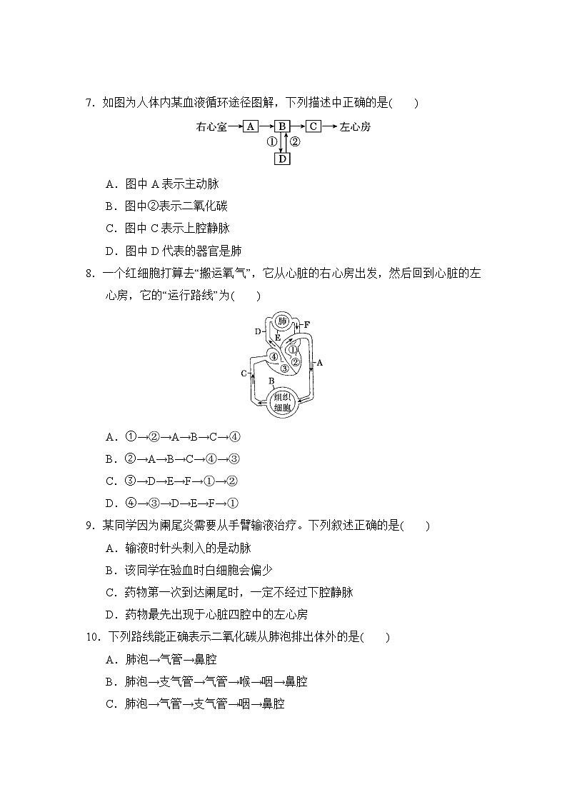 冀少版（2025新版）七年级下册生物期末学业评估测试卷（含答案）第2页