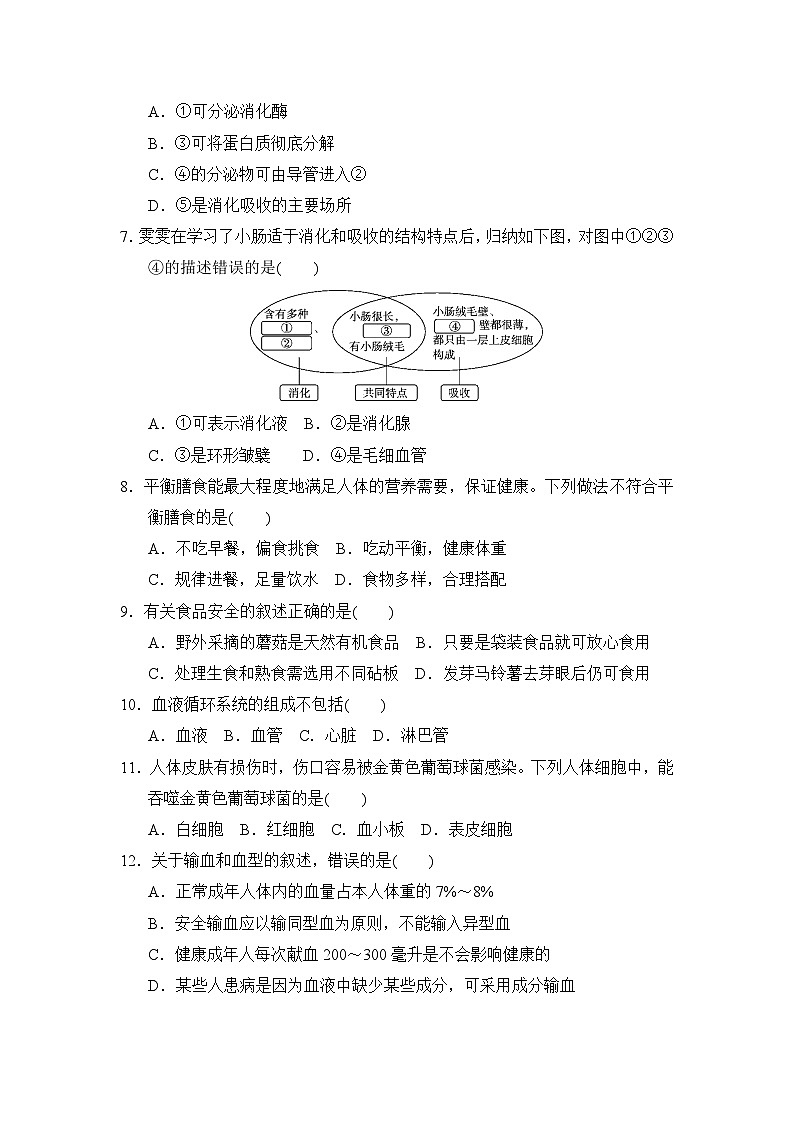 冀少版（2025新版）七年级下册生物期中学业评估测试卷（含答案）第2页