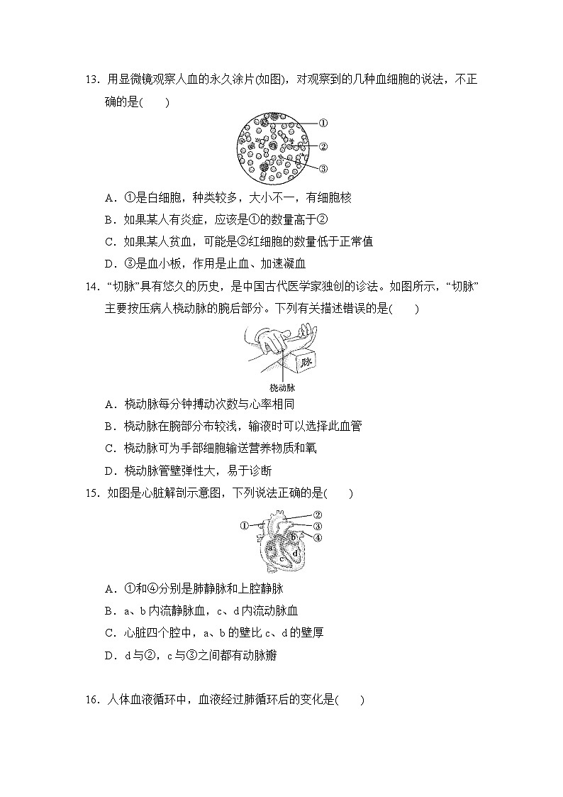 冀少版（2025新版）七年级下册生物期中学业评估测试卷（含答案）第3页