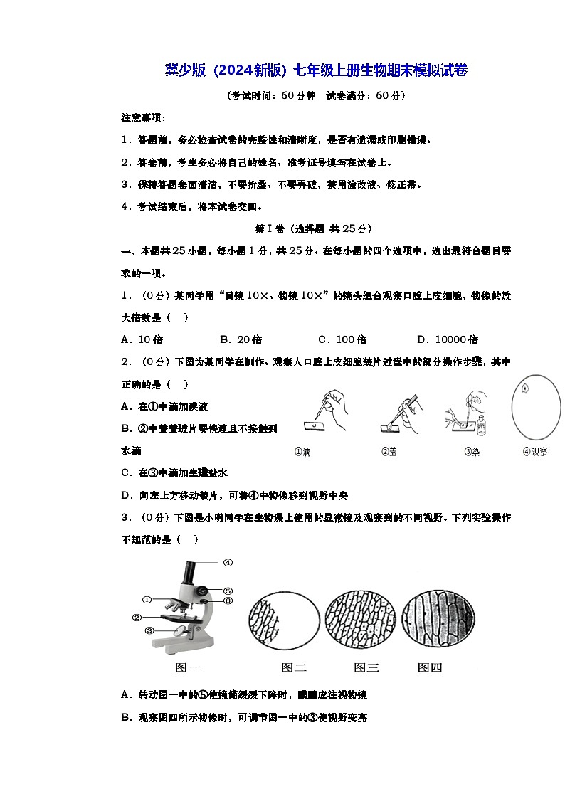 冀少版（2024新版）七年级上册生物期末模拟试卷（含答案）第1页