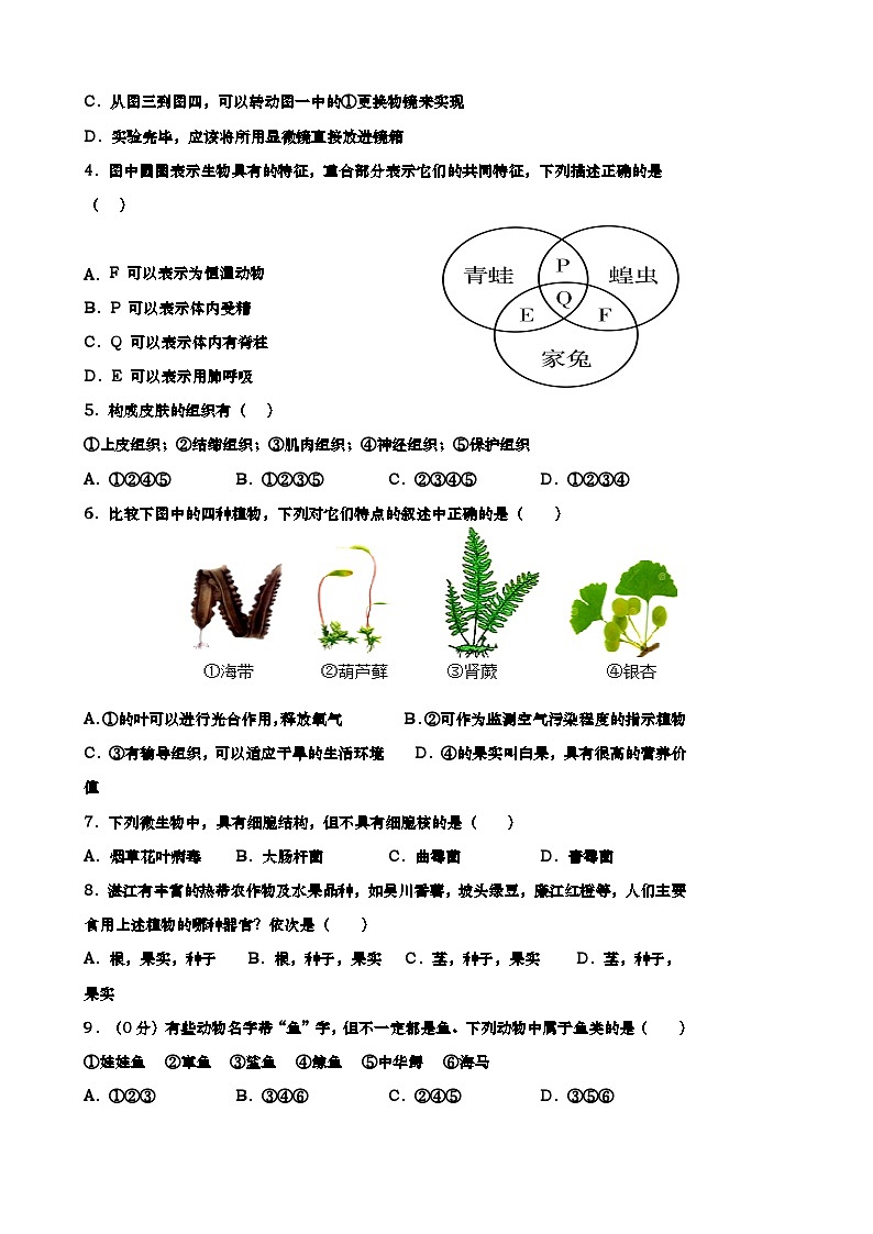 冀少版（2024新版）七年级上册生物期末模拟试卷（含答案）第2页